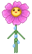 pink lady floweranimation