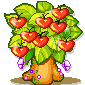 red flowers  animation