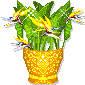 flowers in a pot  animation