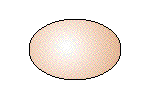  cracking an egg  animation