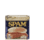 spam email   animation
