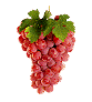 changing colour bunch of grapes   animation