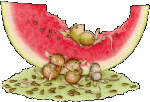 mice and melon   animation