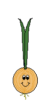 onion   animation