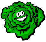 lettuce   animation
