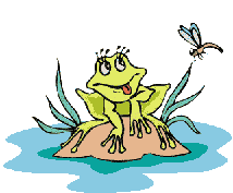frog and dragonfly   animation