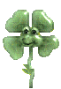 shamrock   animation