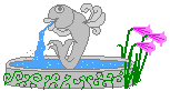 dolphin water spout  animation